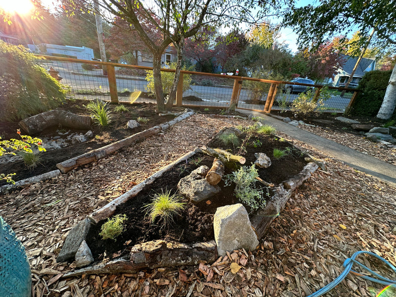 Front yard conversion from lawn // Portland, OR