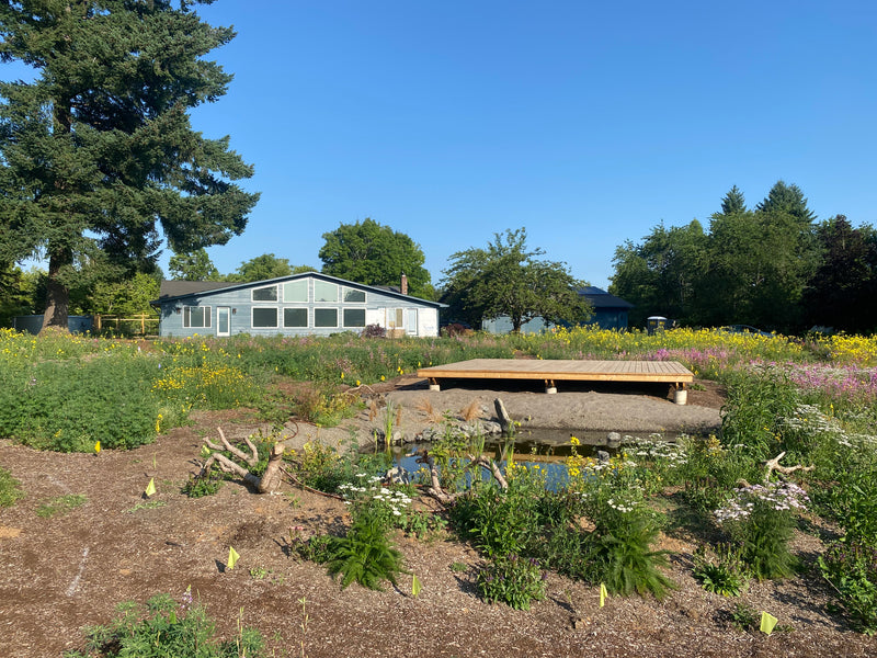 Full Property Master Plan Implementation // Boring, OR