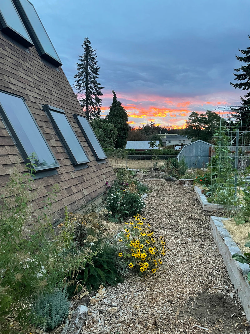 Food forest at the 'Gay frame' // Portland, OR