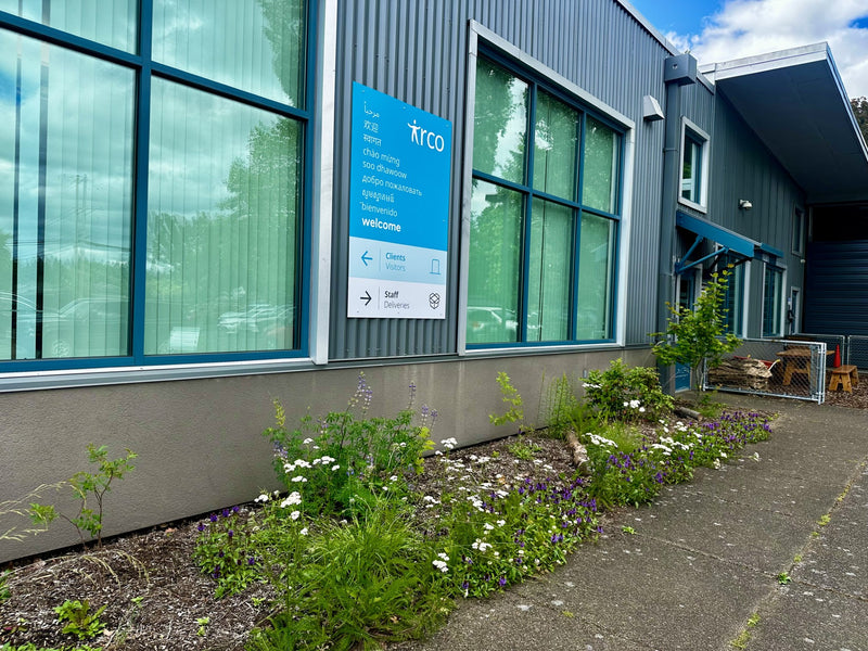 Early succession plantings, part of a master plan for a non-profit // East Portland, OR