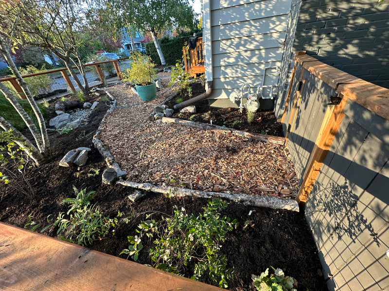 Front yard conversion from lawn // Portland, OR
