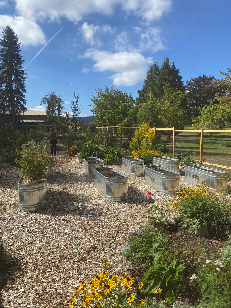 Kitchen Garden // Boring, OR