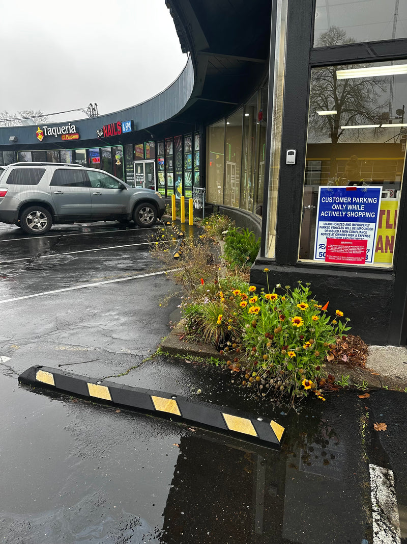 Commercial building plantings // Portland, OR